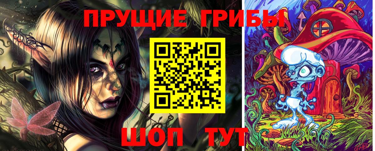 Галлюциногенные грибы Psilocybe Химки